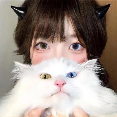 大智若愚 在线观看