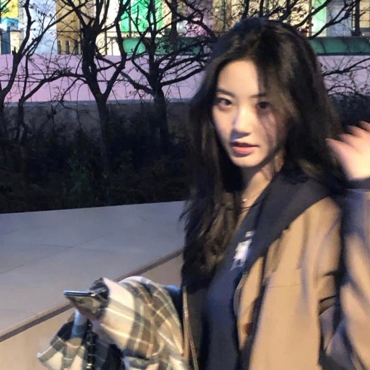 铁拳：血脉 在线观看
