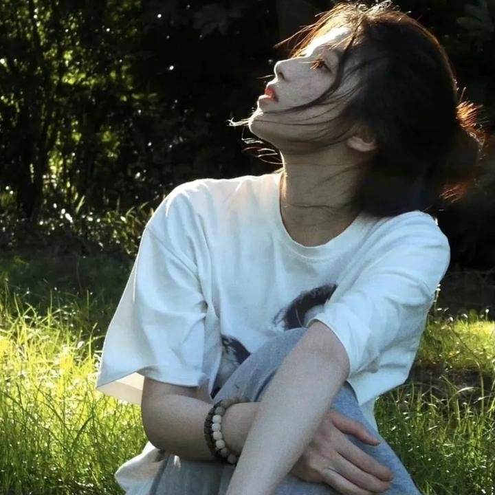 月陨回声 在线观看